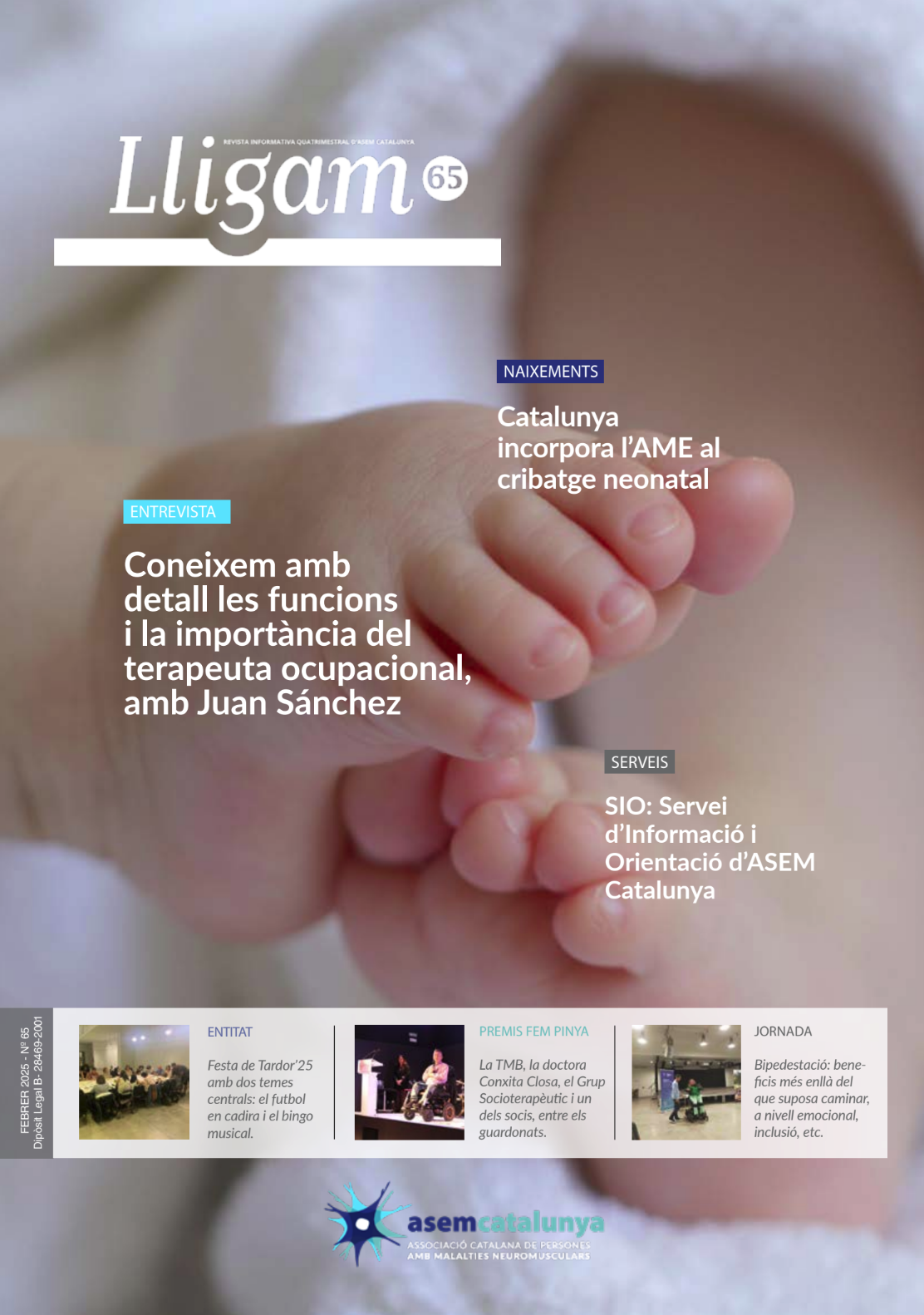 Portada Lligam 65